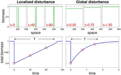 The Impact of Spatial and Temporal Dimensions of Disturbances on Ecosystem Stability